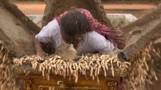 LATE STUDENT OF MISSION SCHOOL #nollywood #nollywoodmovies #viral #shorts 