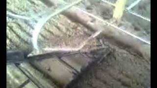The Groomer freestall rake