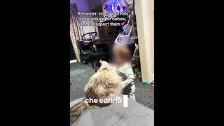 Some Months Ago, My Baby And My Cat