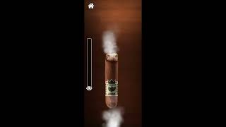 Cigarette Smoking Prank screenshot 2