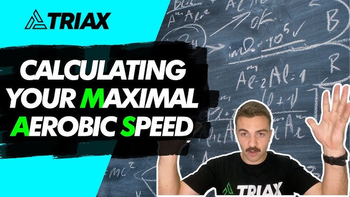 Maximal Aerobic Speed (MAS)