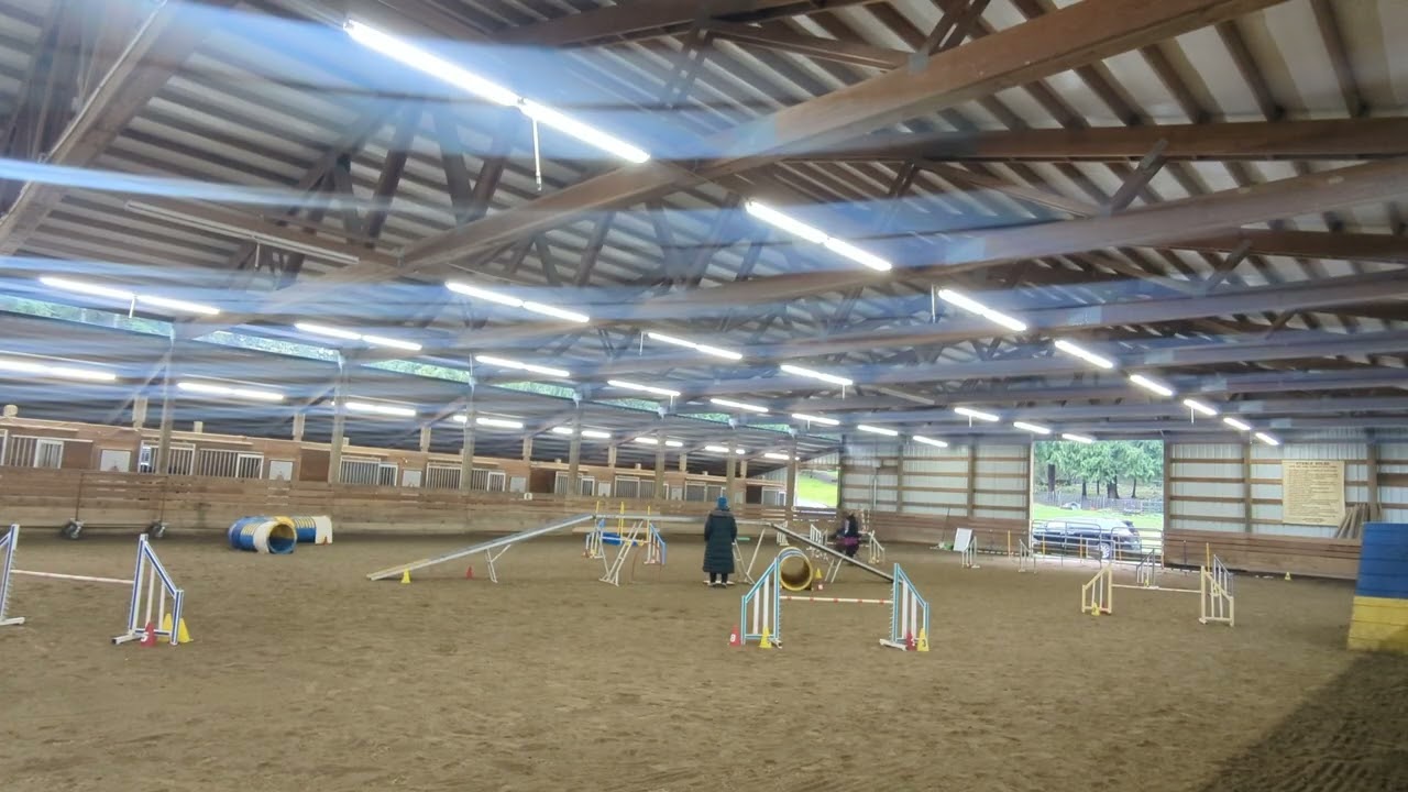 Paris' Redbone Coonhound Agility Practice - Class 1-6-26 unedited l