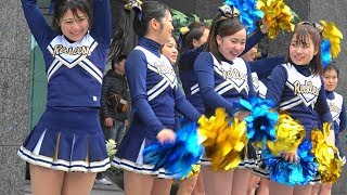 もうひとつの東京マラソン2019～白百合女子大学チアリーディング部『RECKLESS』