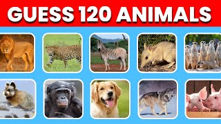 Guess 120 Animals in 3 Seconds | Animal Quiz | Quzzles