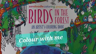 Colour with me in Denyse Klette's 'Birds In The Forest' - Angry bird with eggs