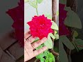 Kadhal Ponmaan 💞🌹⚘️#trending #viral #shortsfeed #youtubeshorts #kadhal #malayalamsong #love #tamil