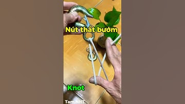 Nút thắt bướm thao tác 1 tay bạn biết chưa #meovatvathuthuat #tamnht #diy #tool #Shorts