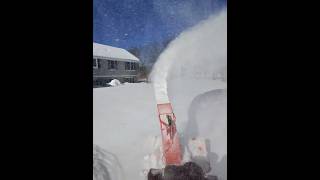 70% WILL FAIL! #landscaping #landscapingbusiness #snowremoval #ariensmammoth #snow #ariens #lawncare