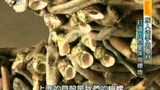 20150102 南部開講 (第1集) 在地旅行-比西里岸尋羊去