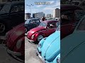 Encontro de fuscas🏁🔥 #automobile #canalautomotivo #vocho #fusca #sp #beetle #classic #rebaixados
