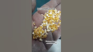 DEGERMINATOR #Degerminator
