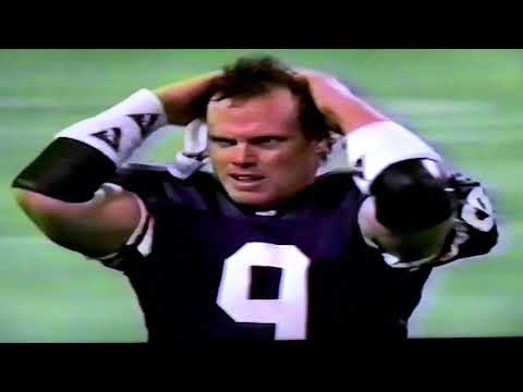 Vikings at Giants 1993 season wild card opening
