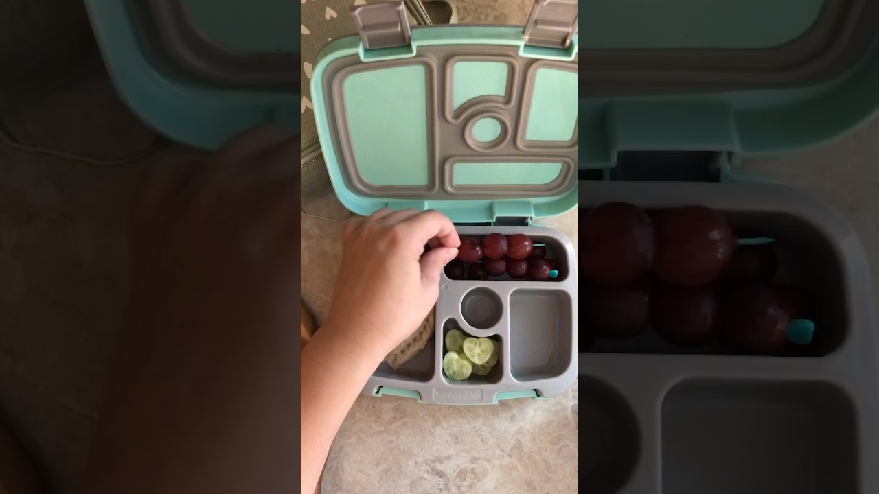 vegan school lunch ideas 