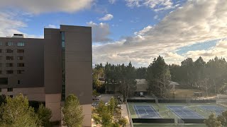 weekend at ucla: winter quarter '23