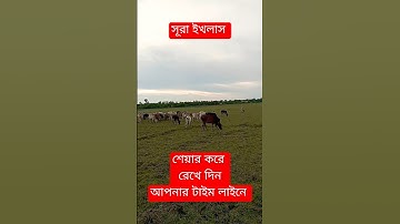Surah Ikhlas | সূরা ইখলাস | سورة الإخلاص | #motivation  #سورة الإخلاص #arabic #religion #shortvideo