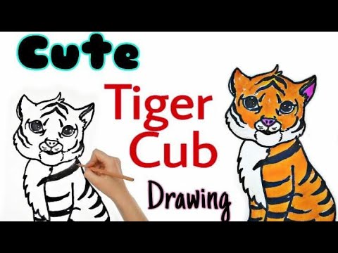 International Tiger Day Poster/#TIGERDAYDRAWING /HOW TODRAW CUTE TIGER ...