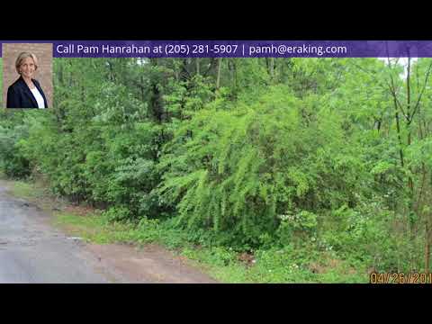190 Prophecy Ln, Springville, AL home video tour