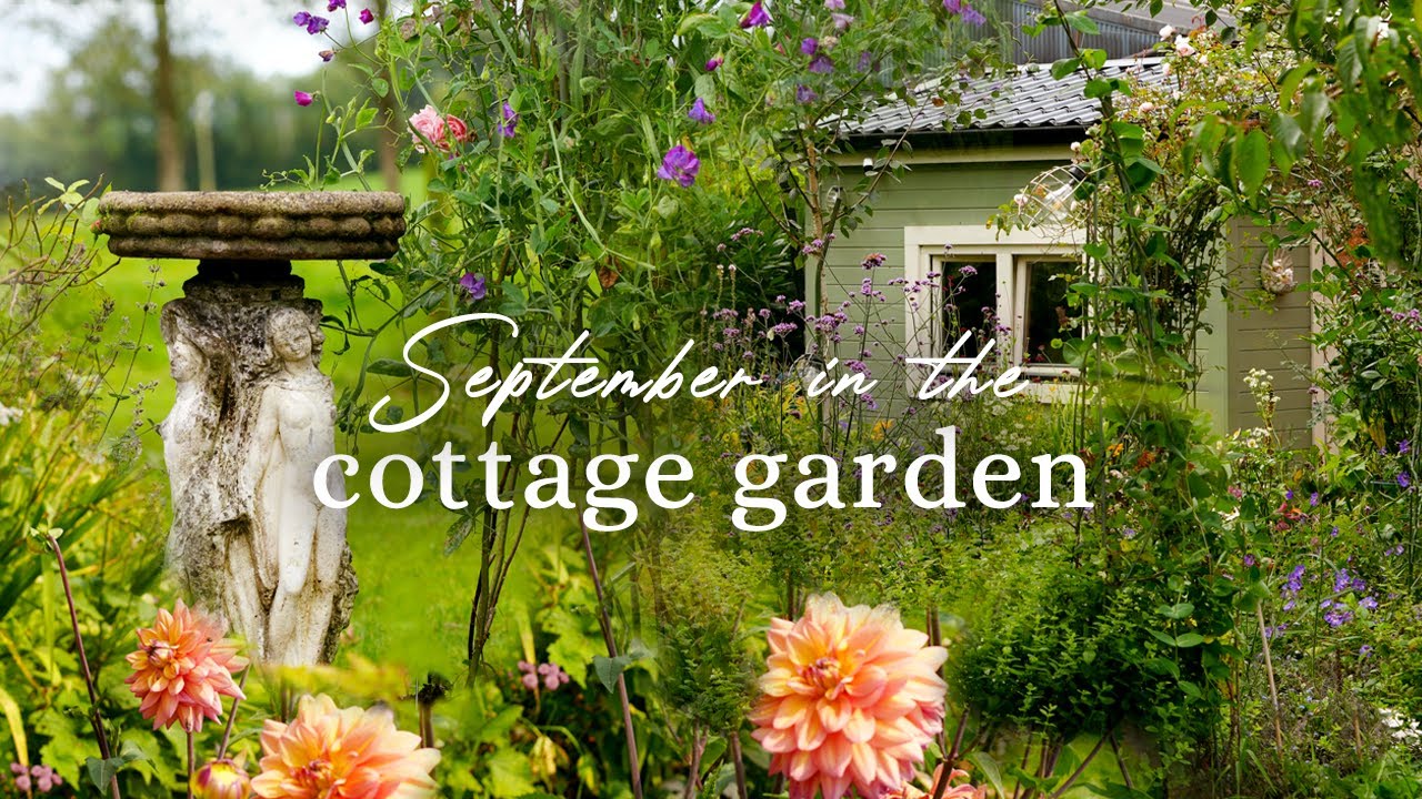 autumn in the cottage garden | how to live a more simple life | cosy rainy day at home | silent vlog