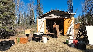 It's Worse Than I Thought! MAJOR Shed Cleanup at the Off Grid Cabin screenshot 4