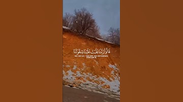 ألم تكن آياتي تتلى عليكم فكنتم بها تكذبون |القارئ ياسر الدوسري||الآية 105 من سورة المؤمنون