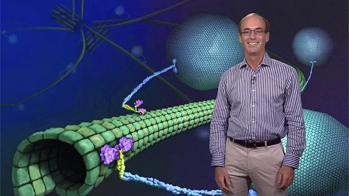 Ron Vale (UCSF, HHMI) 1: Molecular Motor Proteins