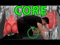 6 Of The Best Daily Core Exercises You Should Do | Glutes, Lower Back, Planks