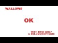 Wallows - “OK” (with Remi Wolf & Solomonophonic)