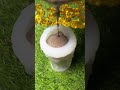 Hit An Oreo And Turn It Into A Pagoda Ice Cream, So Pretty#Diy#Shorts #De-Stress #Asmr