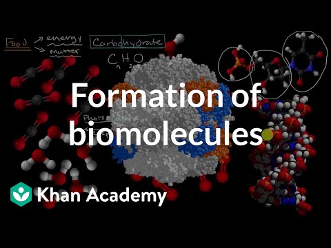 Video: Hansı elementlər molekulları əmələ gətirmək üçün birləşmir?