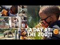 BIRTHDAY AT THE L.A. ZOO | VLOG