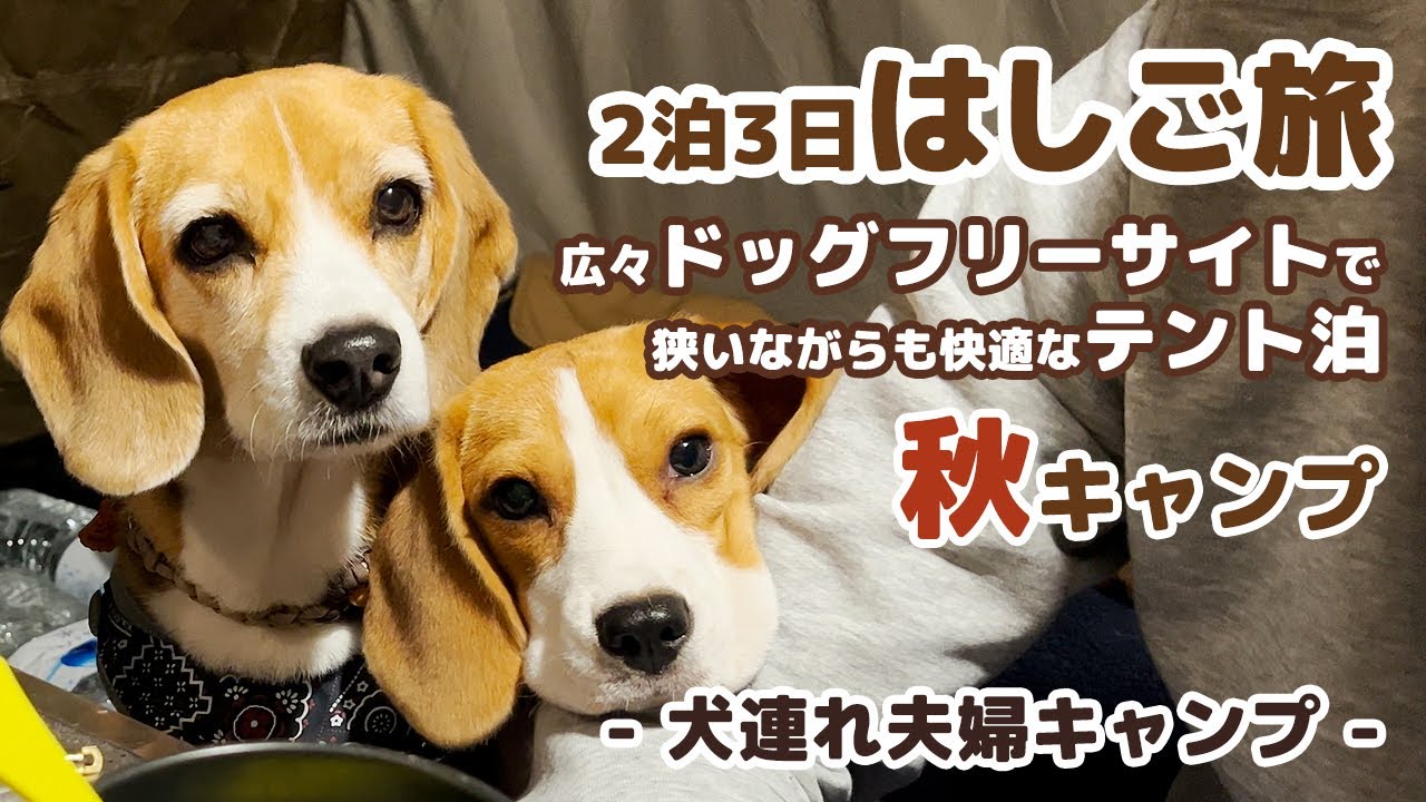 キャンプ 広々ドッグフリーサイトでワンコと一緒にテント泊 2泊3日はしご旅 長野編 犬連れ夫婦キャンプ Youtube