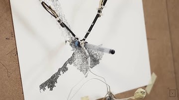 Scribi, The Drawing Machine - self-portrait