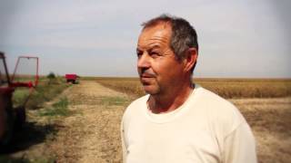 Ekobooster 2 I Soja Tucena Gradom , Kasnije Skidana U Zetvi. Sajkas 2013.