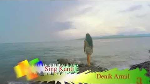 Denik armila