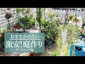 【庭作り】お金をかけずに激安で庭を作る方法!ーガーデニング編ー