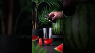 Watermelon Dream Cocktail 🍸 #shorts #cocktailrecipe #cocktails #summerdrinks #homebartender #gin