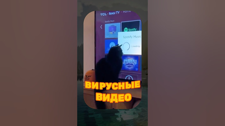 ВИРУСНЫЕ ВИДЕО / Кот и пылесос 🤣