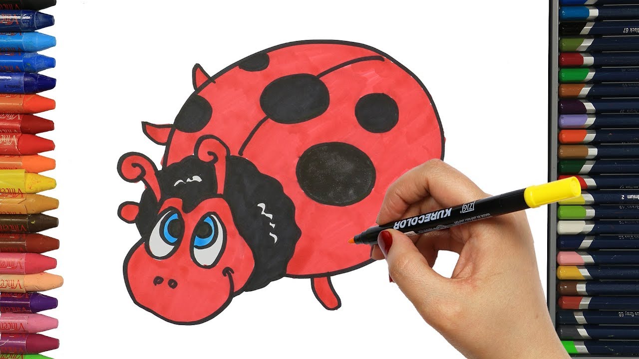 e disegnare e colorare coccinella Disegnare