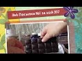 iHerb Кверцетин от аллергии. Мультивитамины из хлореллы. Посылка №1 за май 2017