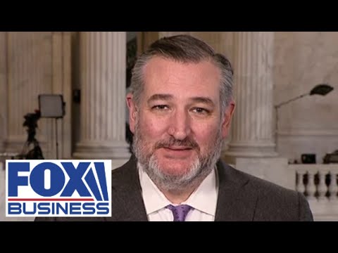 Ted Cruz says it is 'breathtaking' what DOGE is uncovering