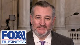 Celebrity Ted Cruz says it is 'breathtaking' what DOGE is uncovering Wealth