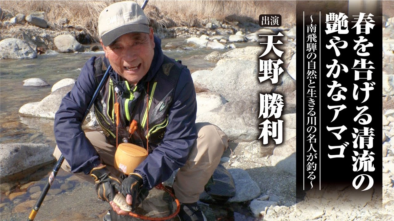 #511 春を告げる清流の艶やかなアマゴ〜南飛騨の自然と生きる川の名人が釣る〜