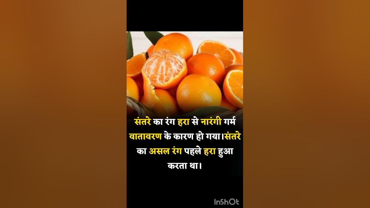 Orange Ke Bare Me Ye Kya Likha Hai facts ytshorts viral YouTube orange-ke-bare-me-ye-kya-likha-hai-facts-ytshorts-viral-youtube