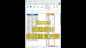 原来Excel统计重复次数这么快😱学会了❗ #excel #excel办公小技巧 #office办公技巧 #函数