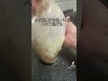 高一男子が作る夜ご飯