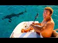 Inviting sharks to dinner 🙄🦈 - EP 64 Sailing Life on Jupiter