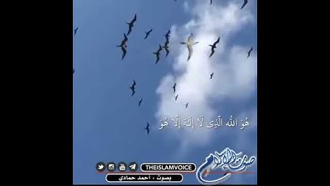 أحمد حمادي ، تلاوة خاشعه