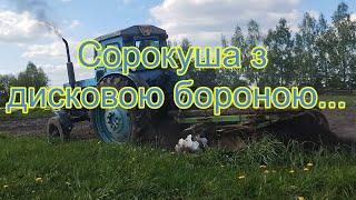 Т 40 з дисковою бороною БОМЕТ. Дискування поля з брусом. Трактор з дисками. Дискуємо. Як дискувати.