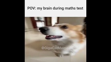 POV: my brain during maths test