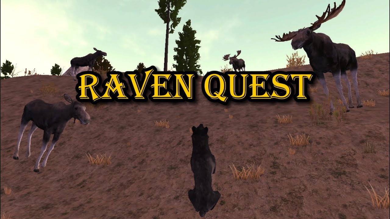 4 Moose Found at Once? Who Will Win? WolfQuest #ravenquest